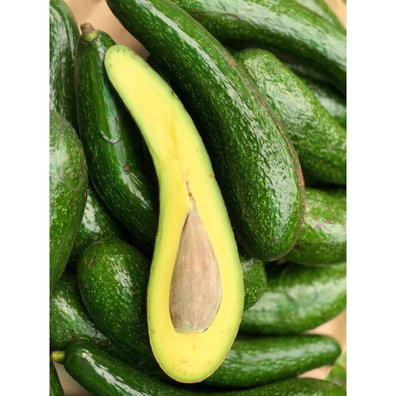 Bơ 034 - 1kg bơ 034 nhà trồng lâm đồng _ #bo034 _ bơ sáp
