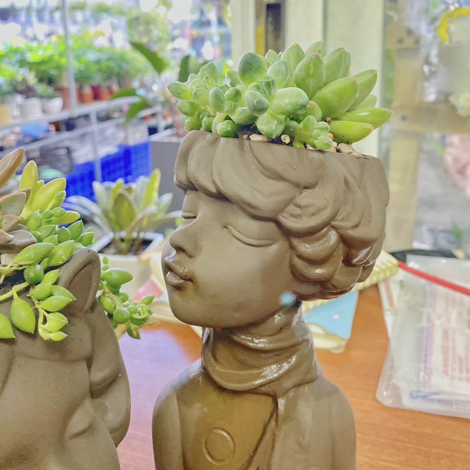 Chậu đất nung hình chú bé dễ thương 1024cm trồng sen đá, trang trí tiểu cảnh siêu xinh