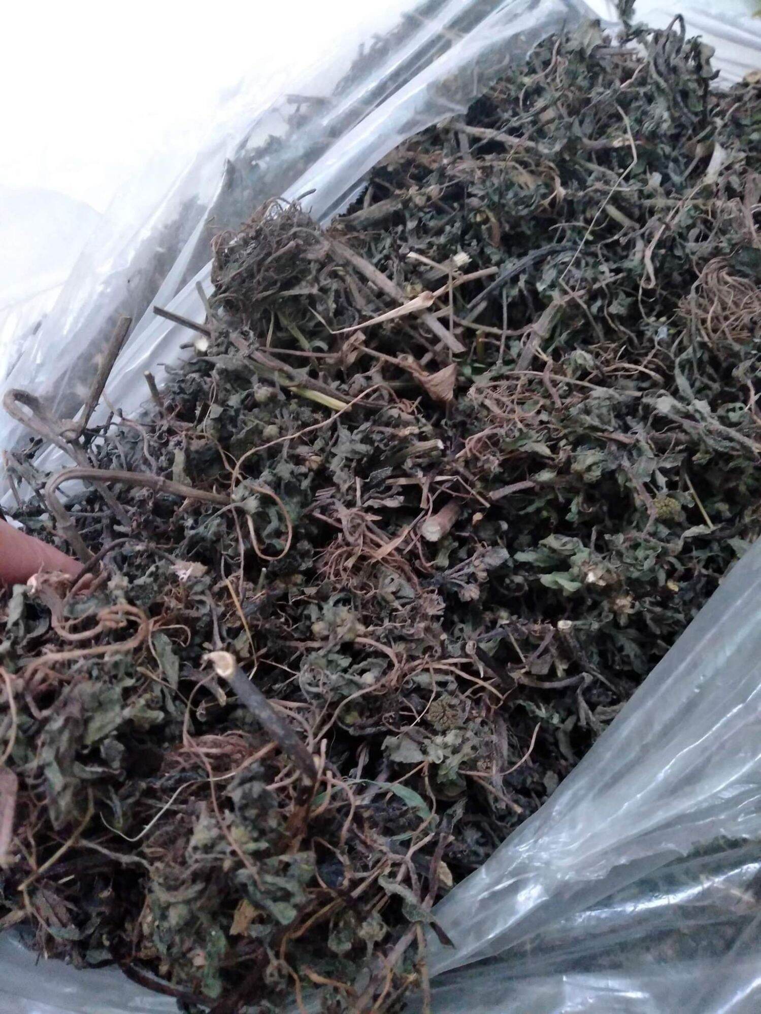 1kg cỏ mực khô, sạch . lh 0982 772 015