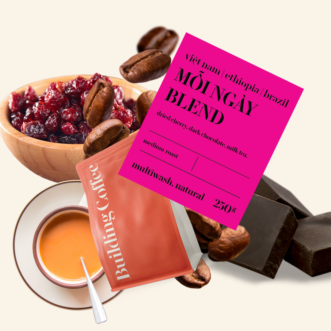 Mỗi ngày blend - cà phê arabica từ việt nam & ethiopia & brazil - building coffee