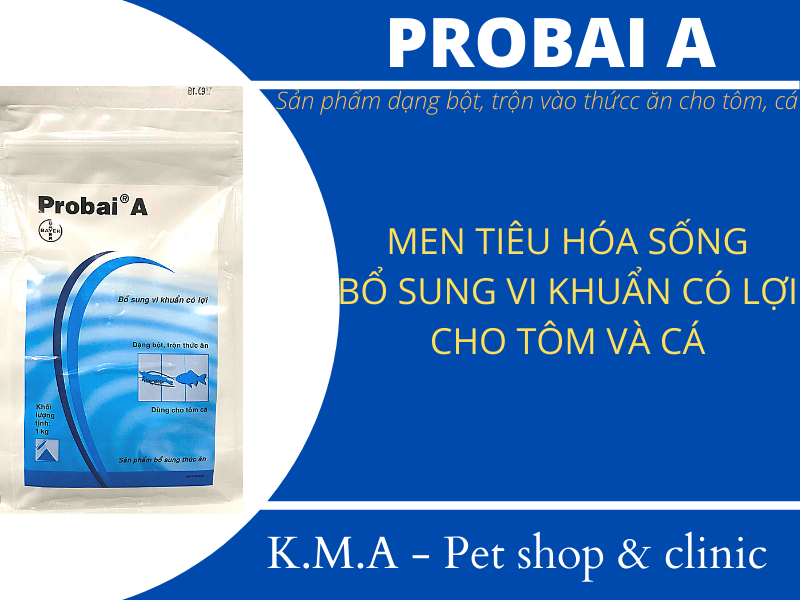 PROBAI A 1KG – BỔ SUNG VI KHUẨN CÓ LỢI GIÚP TÔM, CÁ KOI HẠN CHẾ CÁC BỆNH VỀ ĐƯỜNG RUỘT