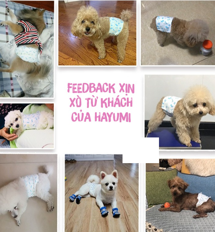 TÃ CHÓ ĐỰC - TÃ QUẤN BỤNG CHO CHÓ MÈO ĐỰC - HIỆU DONO