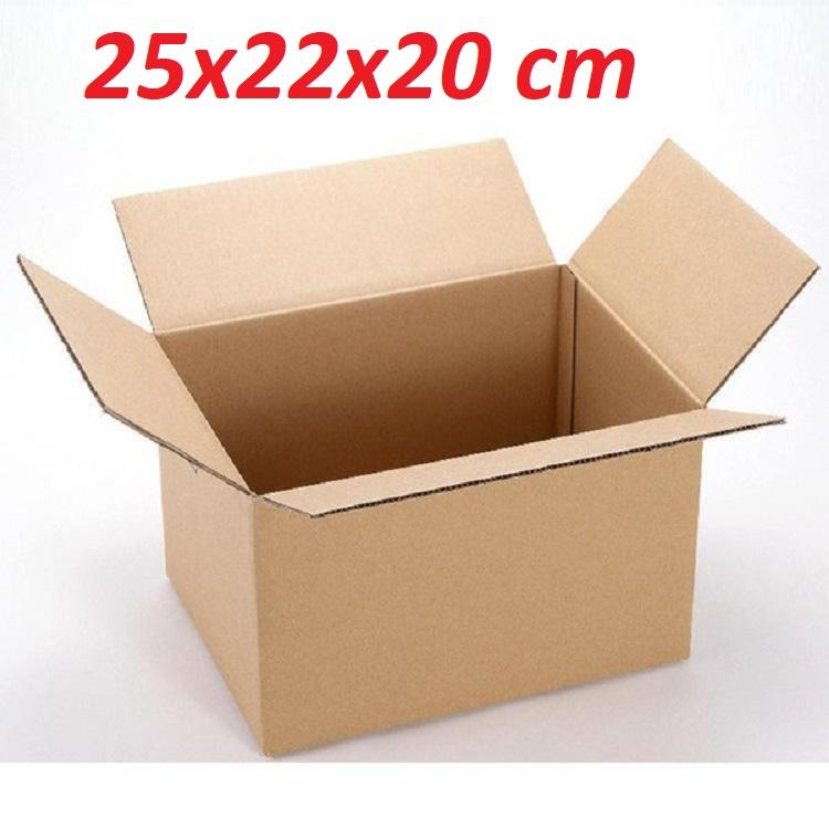 Bộ 20 thùng carton 25x22x20 cm