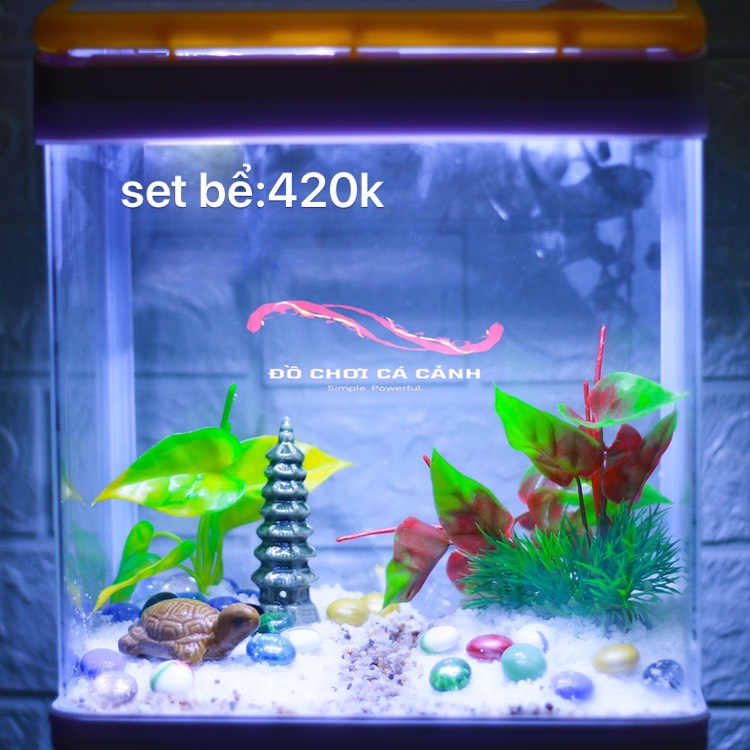 Set bể cá mini MJ260 dài26- kèm tượng, sỏi, cây trang trí tặng 1 gói men dung dịch làm trong nước
