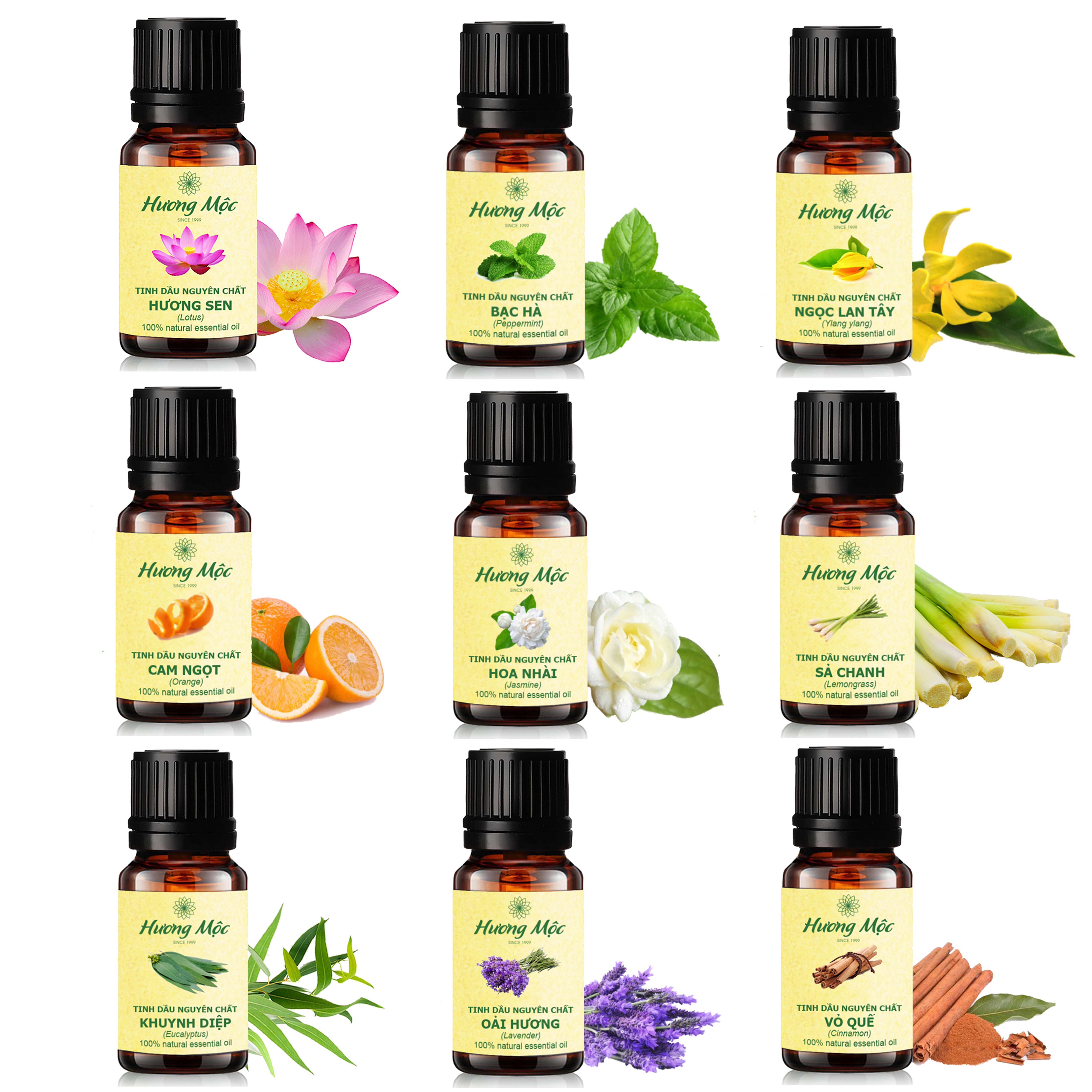 [ĐẶC BIỆT] Tinh dầu Sả Chanh Hương Mộc 10ml - Tinh dầu đuổi muỗi - Chất lượng cao - Có kiểm định chất lượng COA - (35 mùi tự chọn)