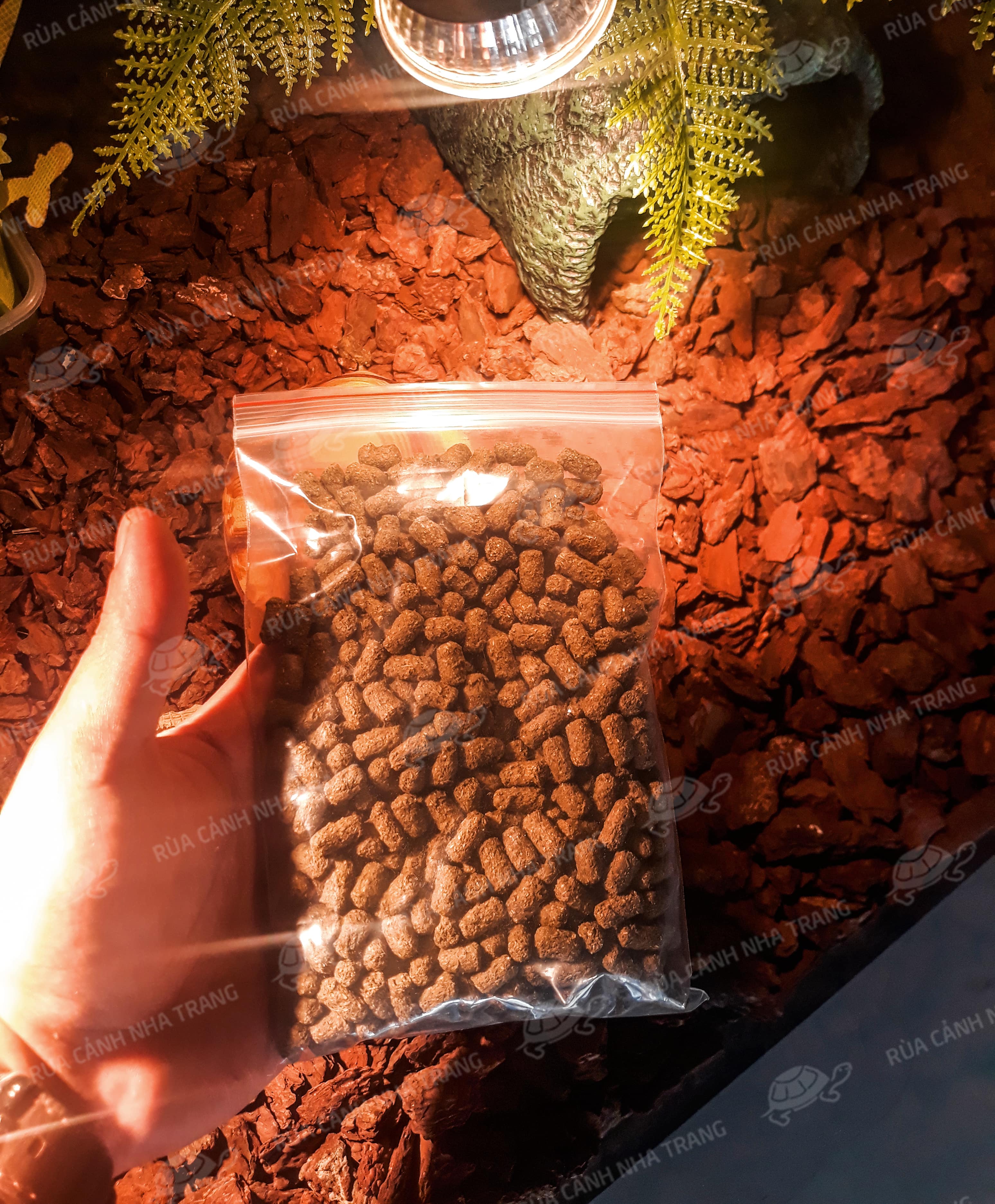 THỨC ĂN CHO RÙA, THÚ CƯNG BÒ SÁT [MAZURI 5E5L]