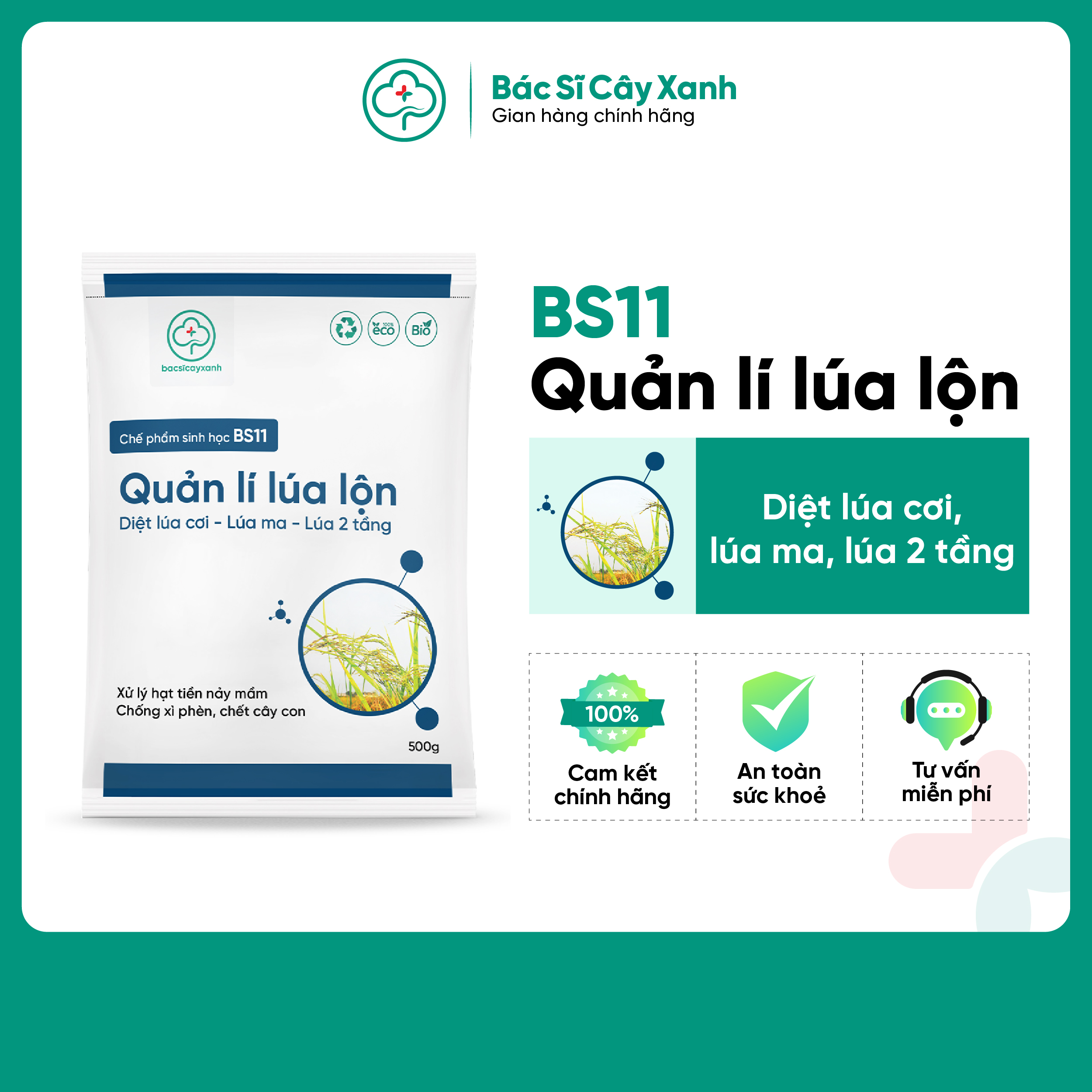 BS11 Quản lý lúa lộn - Phân bón xử lý lúa ma, cỏ hạt tiền, chống xì phèn, ngộ độc hữu cơ, chết cây con (500gr)/ Phân bón sinh học an toàn, bảo vệ cây trồng