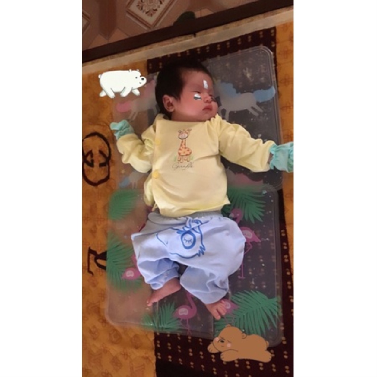 ĐỆM MÁT LƯNG- ĐỆM THẠCH MÁT LÓT LƯNG CHO BÉ