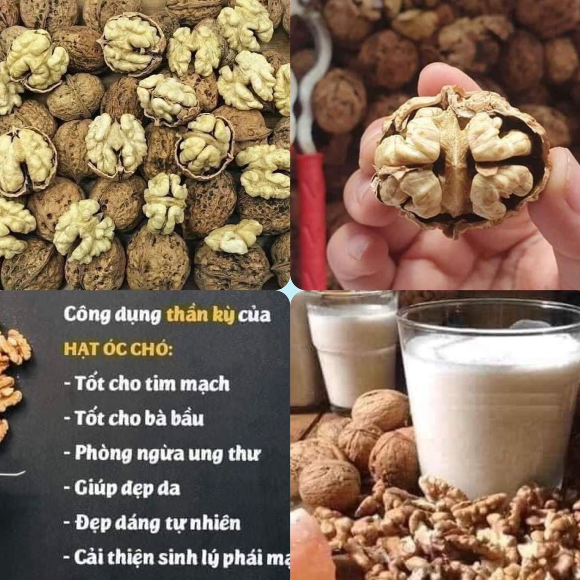 Quả óc chó khô tây bắc dinh dưỡng cho mẹ bầu. shop hạt Hà Thủy