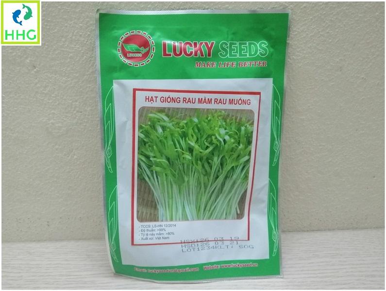 Hạt giống rau mầm rau muống gói 50g