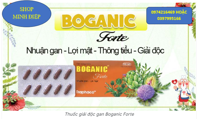 Boganic Forte Traphaco Hộp 50 Viên Nang Mềm-Nhuận Gan,Lợi Mật