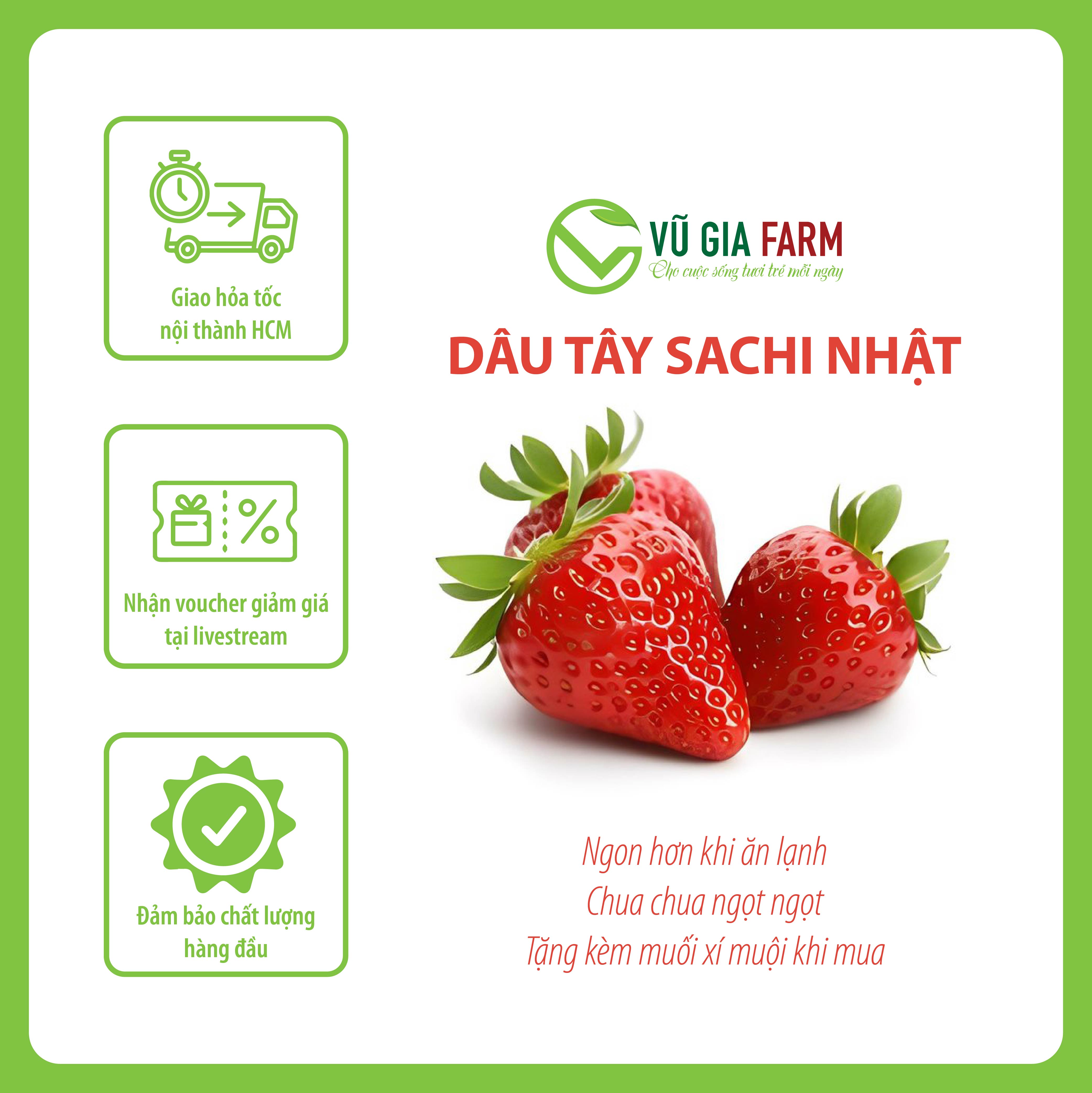 [HOẢ TỐC HCM] Dâu Tây Đà Lạt Nhật Sachi Size 49 - tươi ngon, mọng nước, có ngọt có chua, có tặng kèm muối xí muội
