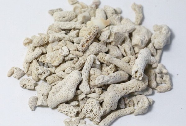 1kg San hô vụn vật liệu lọc hồ cá cân bằng PH