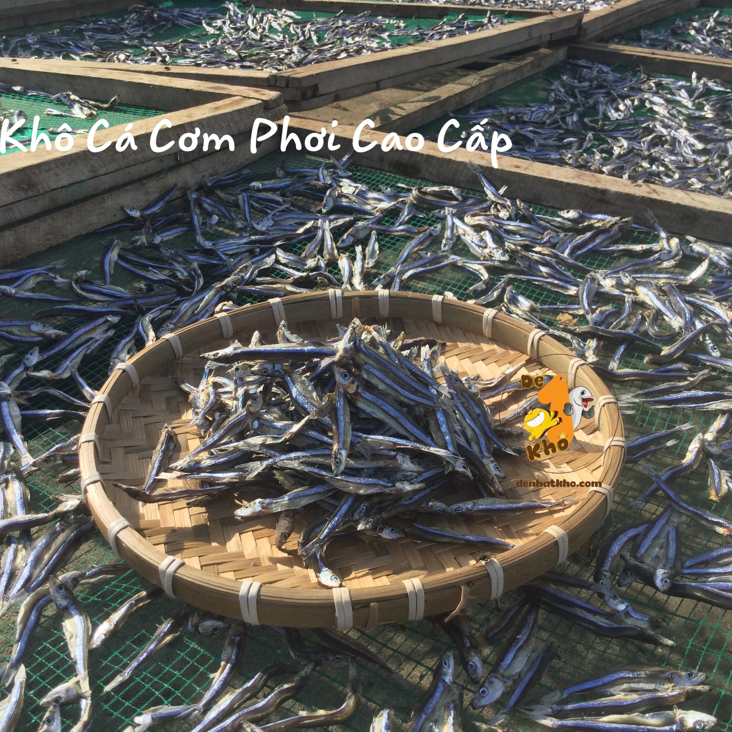 Cá Cơm Khô 100G Đệ Nhất Khô, Cá Khô Biển Size To, Thịt Cá Săn Chắc Giòn Thơm Vị Mặn Nhẹ, Hàng Chuẩn Chất Lượng Cao Xuất Khẩu, Đặc Sản Phan Thiết