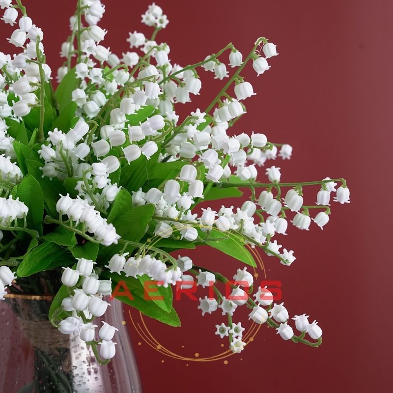 99 Hình ảnh hoa linh lan đẹp nhất và ý nghĩa hoa linh lan  Top 10 Shop Hoa