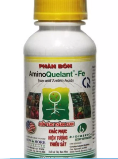 PHÂN BÓN LÁ BỔ SUNG SẮT (AMINO QUELANT FE) 100ML (Biến vàng thành xanh)