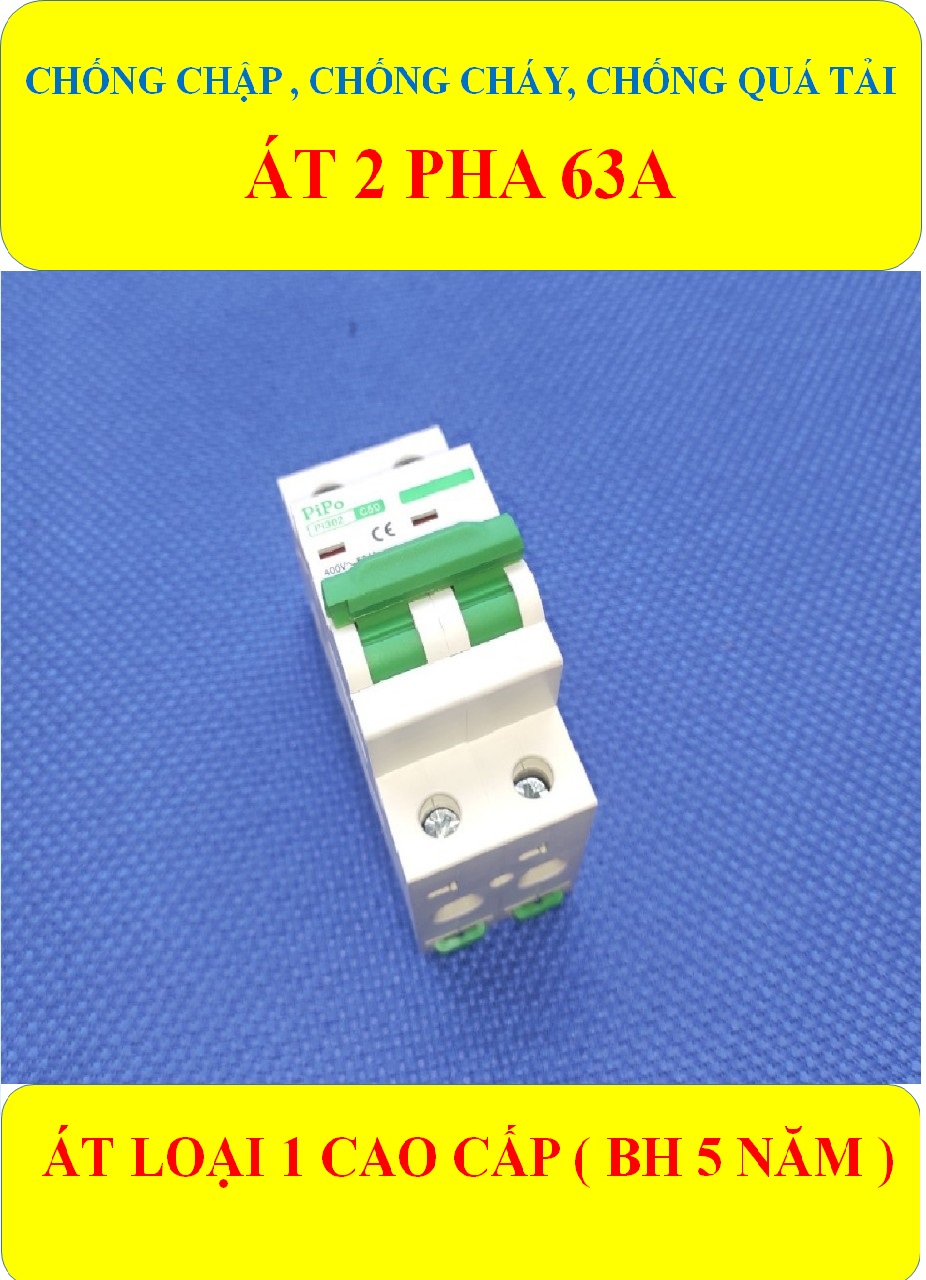 Cầu dao tự động, Aptomat 2 PHA 63A (BH 5 năm ) Chống chập, Chống ngắn mạch, Chống cháy, Chống quá tải HÀNG LOẠI 1 CÁO CẤP (bộ 1 sản phẩm)