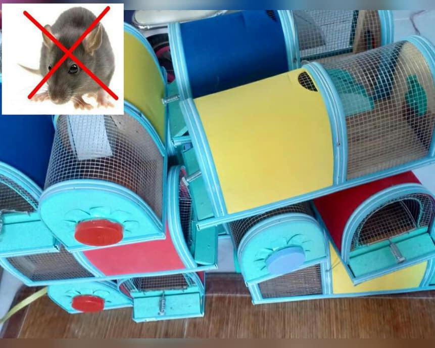 Bẫy chuột tự động 2 ngăn