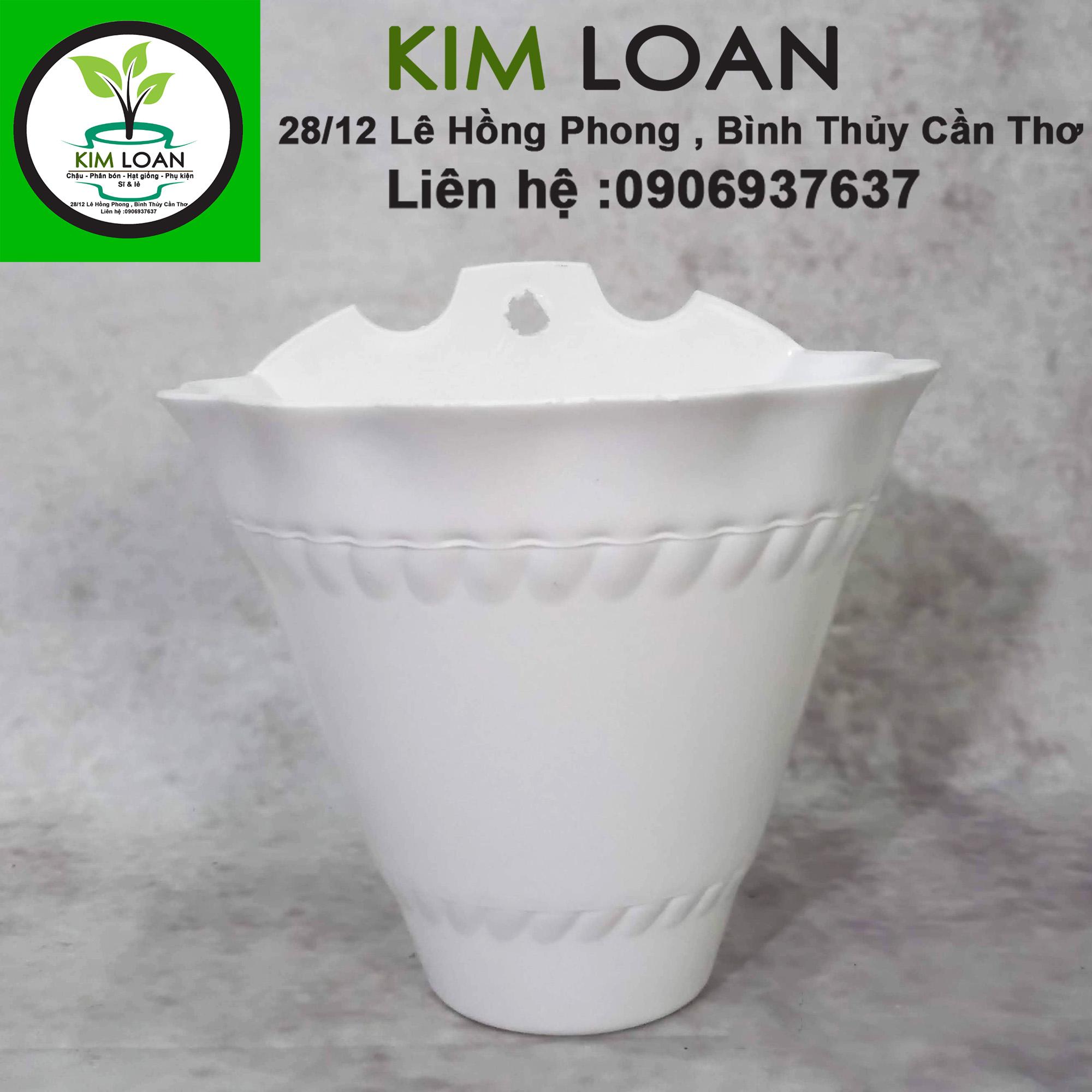 Combo 4 chậu nhựa ốp tường tai bèo hình phễu 20x17x20cm