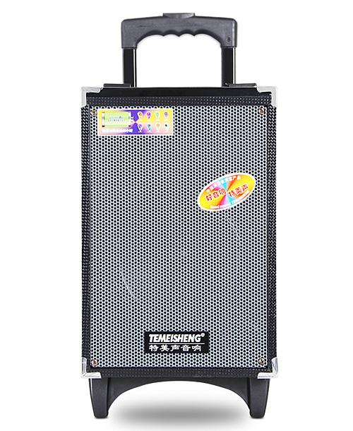 Loa kéo di động temeisheng a8-2t