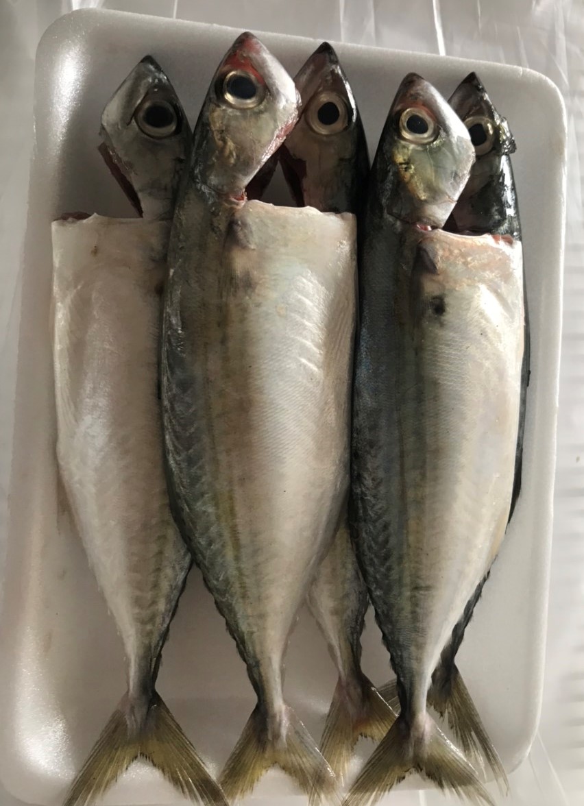 Cá Bạc Má Tươi Cắt Đầu, Làm Sạch, Hải Sản Biển Tự Nhiên, 0.5kg/khay (giao hàng nội thành HCM)
