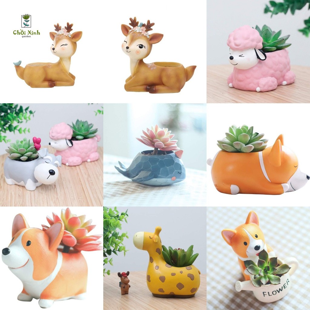 Chậu Cây Hình Thú Con Vật Đáng Yêu - Chậu Nhựa Composite