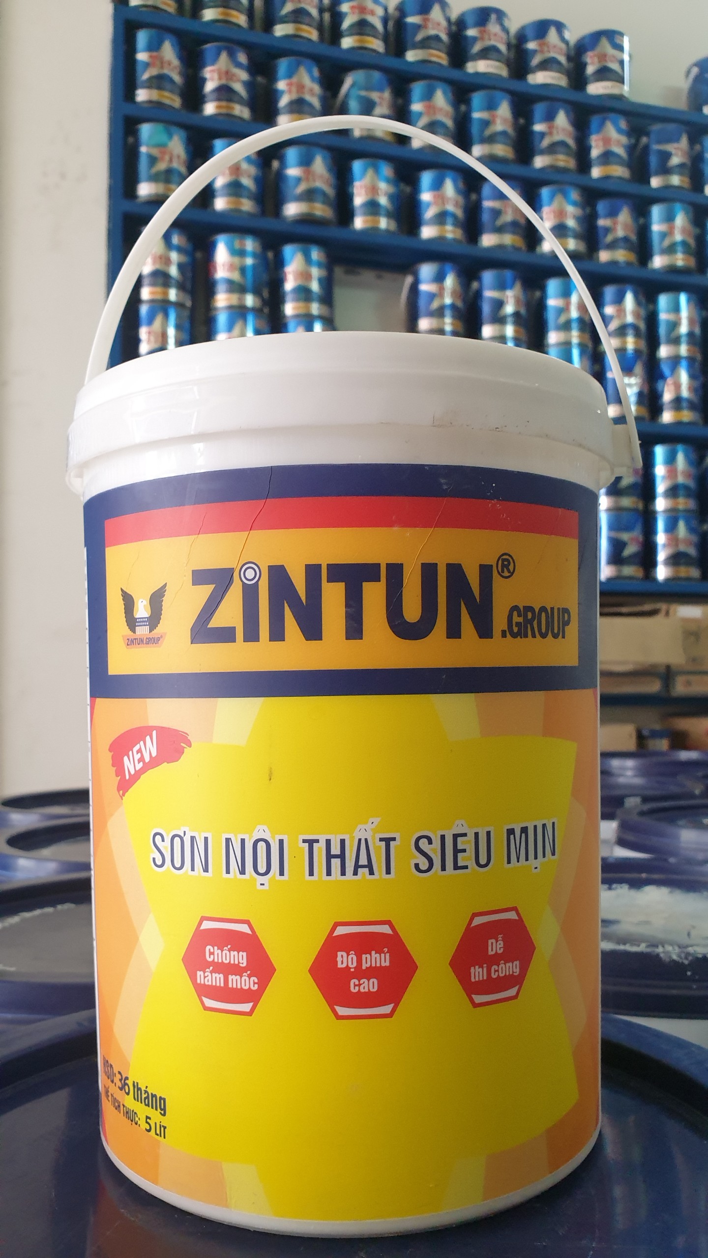 [HCM] Sơn Nước Trang Trí Nội Thất Giá Rẻ 5L