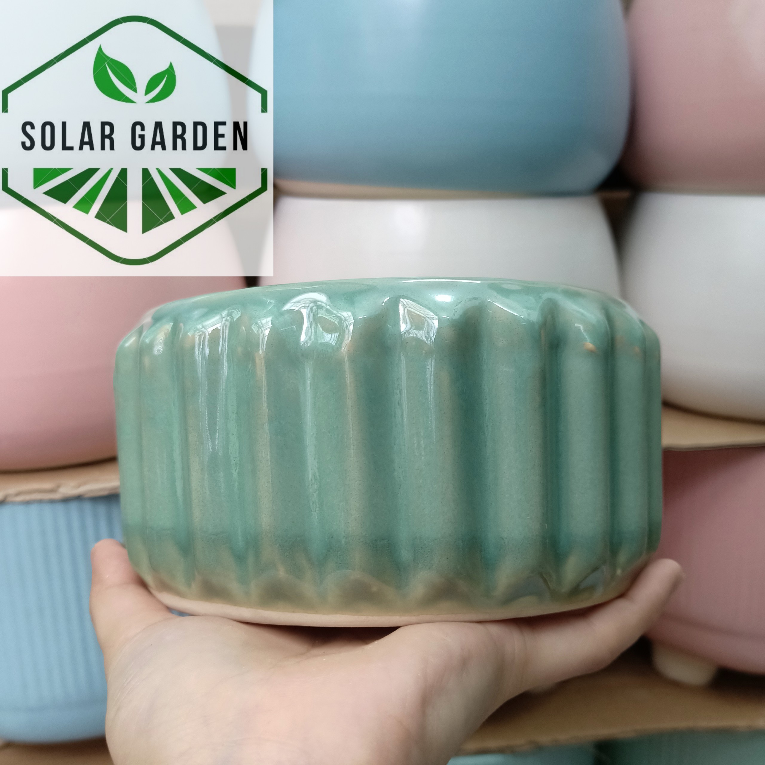Chậu sứ hình khế bẹt - men hỏa biến -nhiều màu - solar gardenàu - solar garden