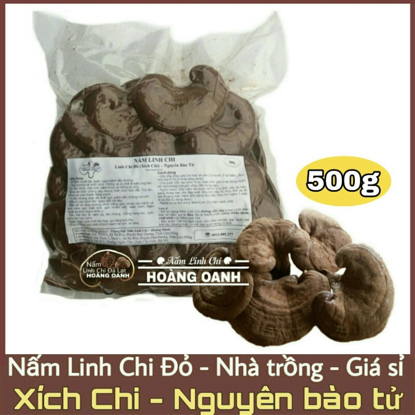 Nấm linh chi Đỏ 500g (Xích chi Việt Nam nhà trồng)