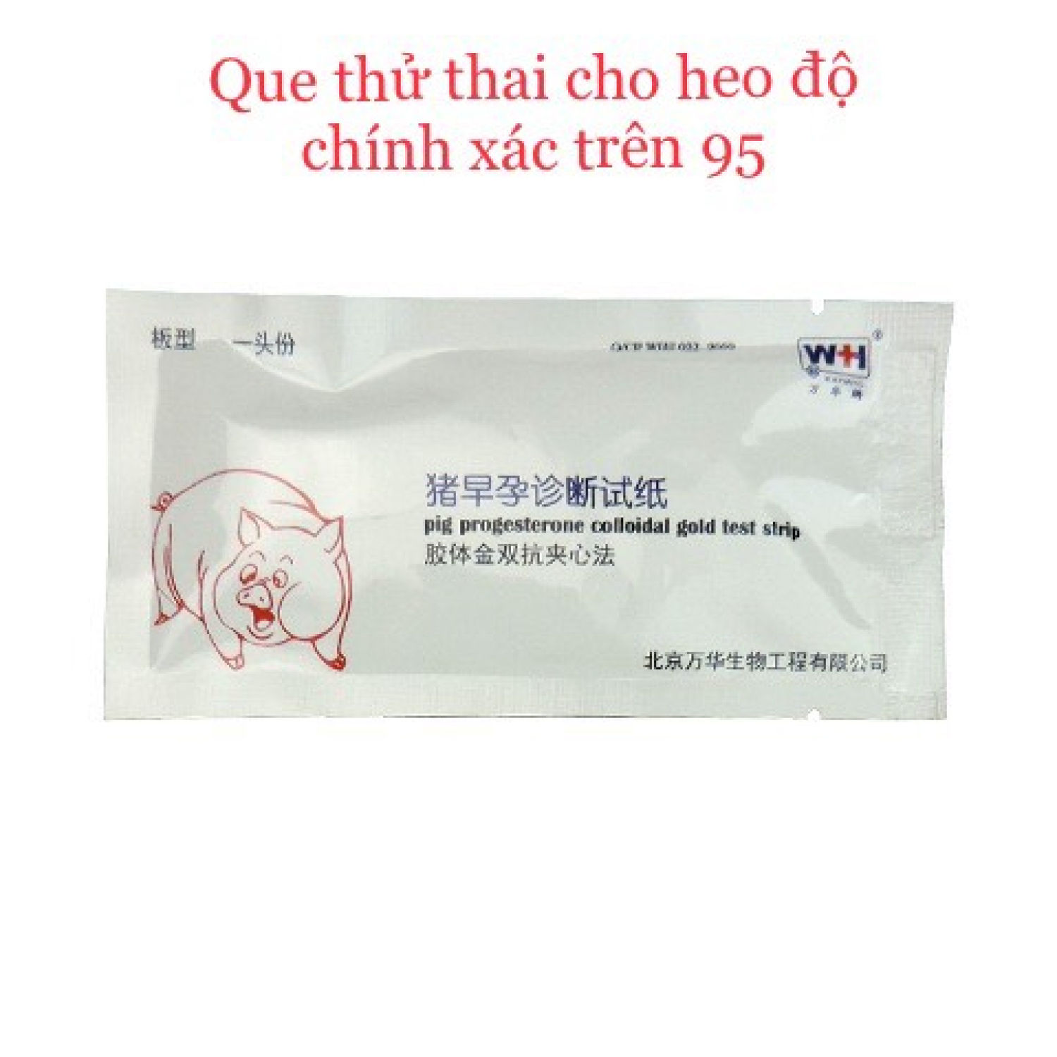 Que Thử Thai Cho Heo, Độ Chính Xác Cao, Nhanh, Tiện