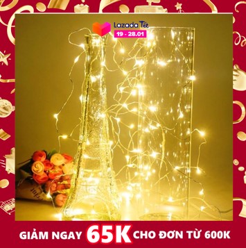 [HCM](Chọn Màu) Đèn Led Xài Pin AA Không Chớp Nháy-Dài 3M 30 Bóng Đèn Led Fairy Light Trang Trí Quấn Cây Đào Quất Sân Vườn Noel Lễ Tết