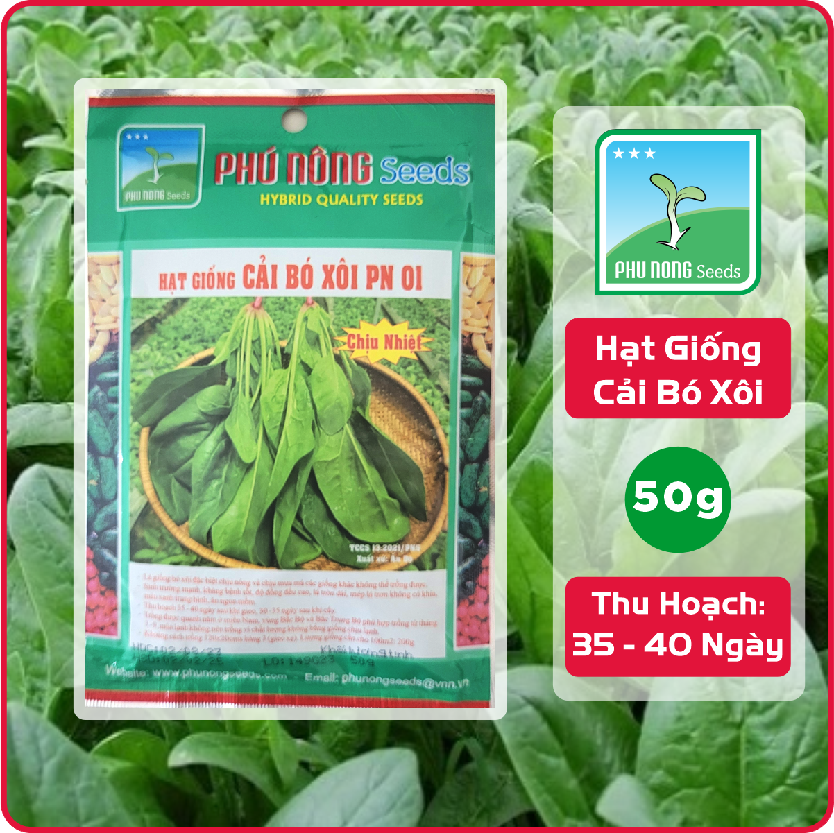 Hạt giống cải bó xôi phú nông gói 50g