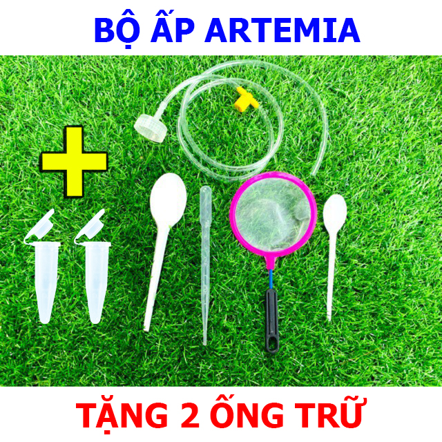 Bộ ấp artemia 🦐 tặng 2 ống trữ artemia 🎁 betta coffy ☕️