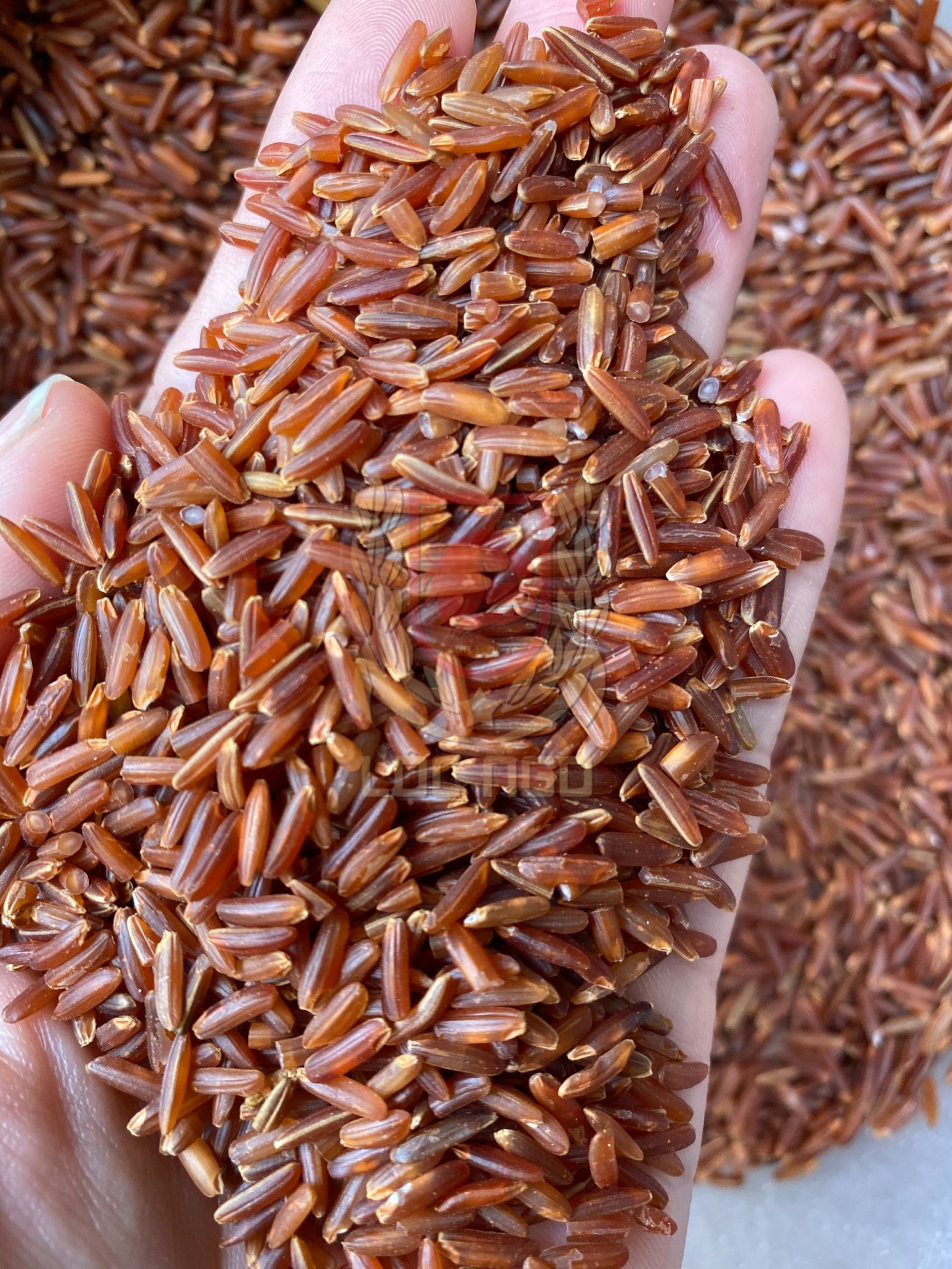 Gạo Lứt Huyết Rồng Campuchia Hữu Cơ Cao Cấp-500g- Hợp cho người ăn kiêng