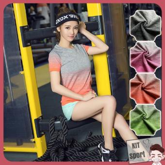 Áo phông thun thể thao nữ Roht - Hàng nhập khẩu (đồ tập thể thao, tập gym, thể dục,thể hình,...