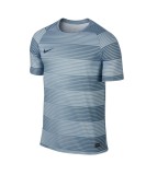 Áo thể thao nam nike flash gpx ss top 1 725917-449