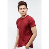 Ao thun nam soc ngang do gach