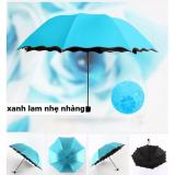 Dù ma thuật nở hoa chóng tia UV