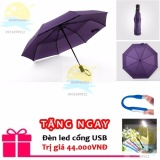 Ô dù đi mưa tự động 2 chiều cao cấp màu tím
