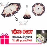 Ô dù mở ngược che mưa, nắng rừng phong