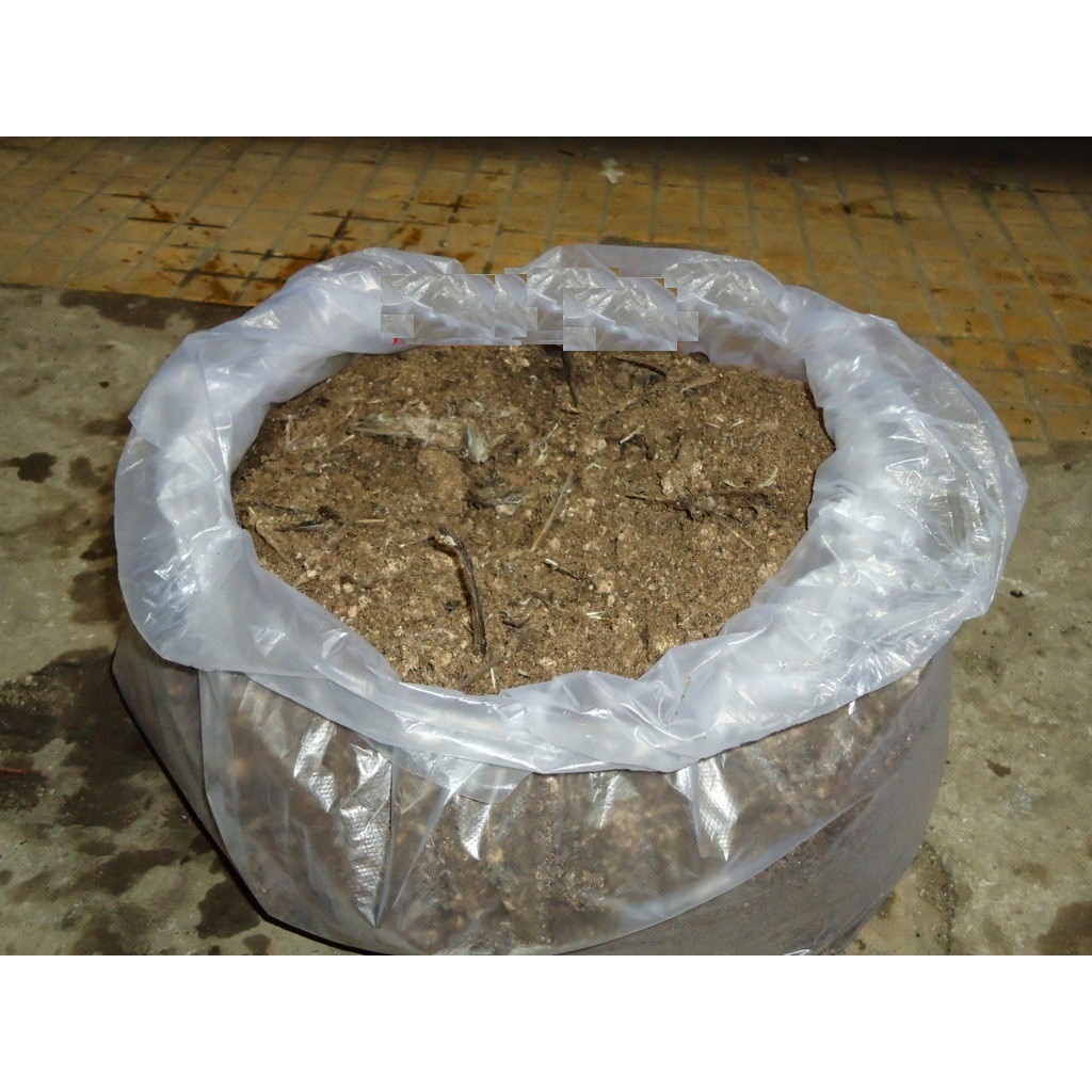 Phân chim yến nguyên chất không pha trộn 1Kg