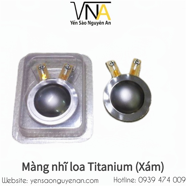 Màng nhĩ loa vàng - xám