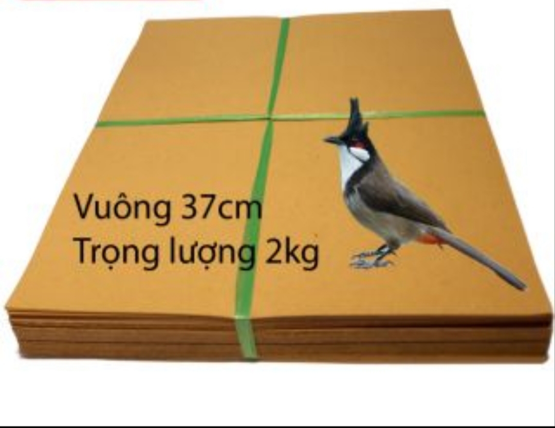 2kg giấy lót phân chim-Vàng - 19nan