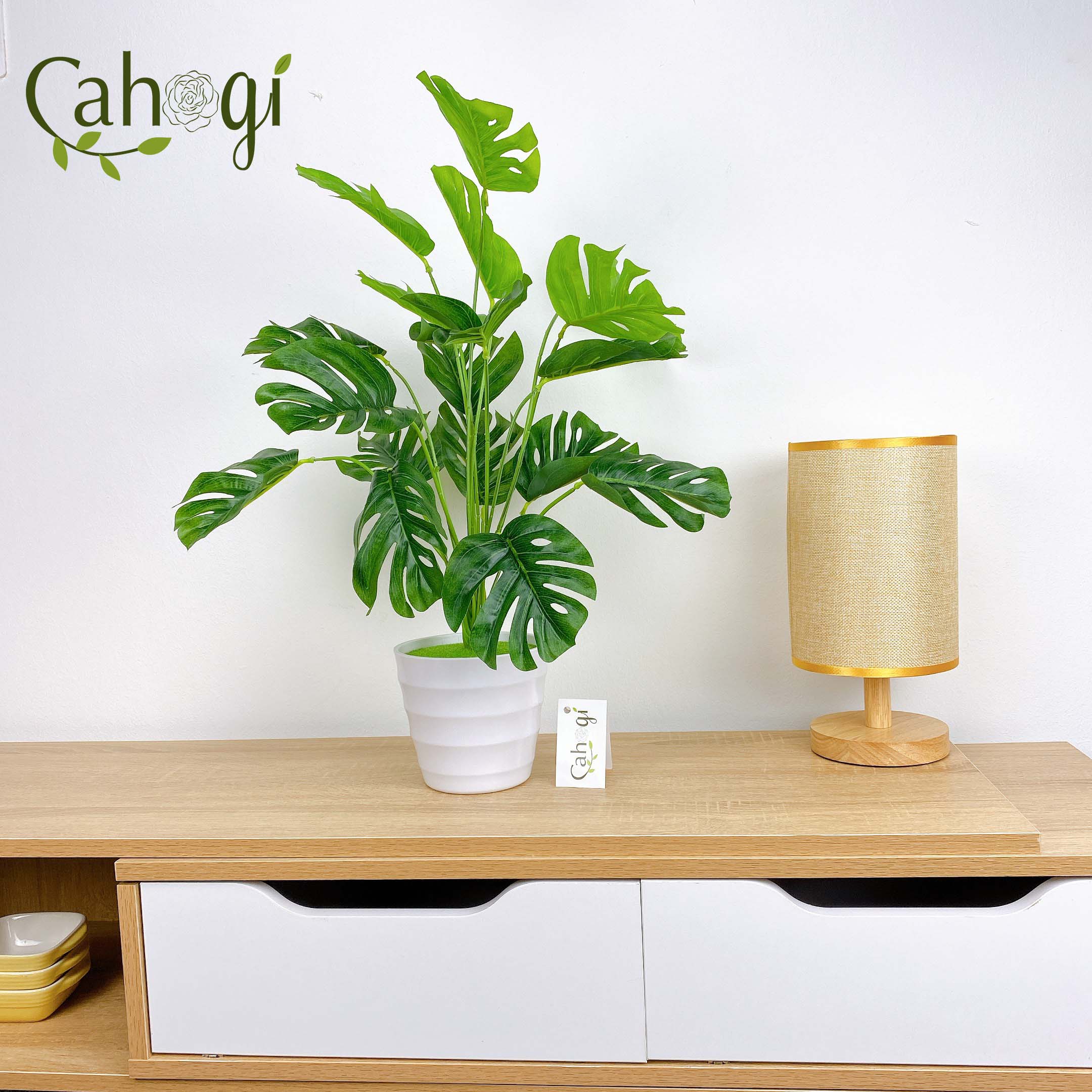 Cây nhựa pvc - cây lá rùa decor cỡ lớn