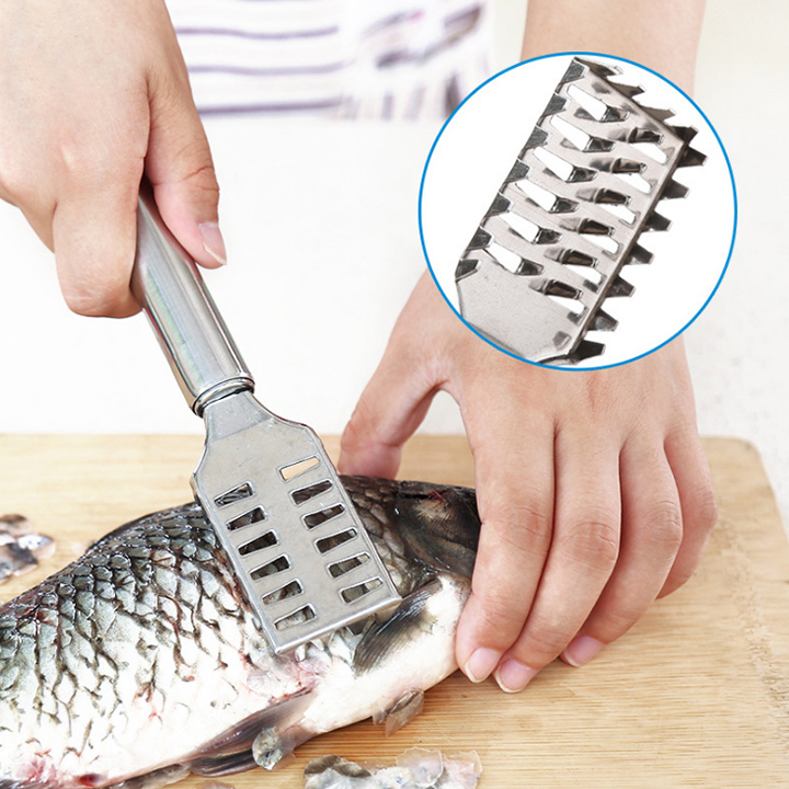 Có video Dụng cụ đánh vảy cá Inox cầm tay giúp cạo vảy cá nhanh chóng, sạch và an toàn,nạo vảy cá