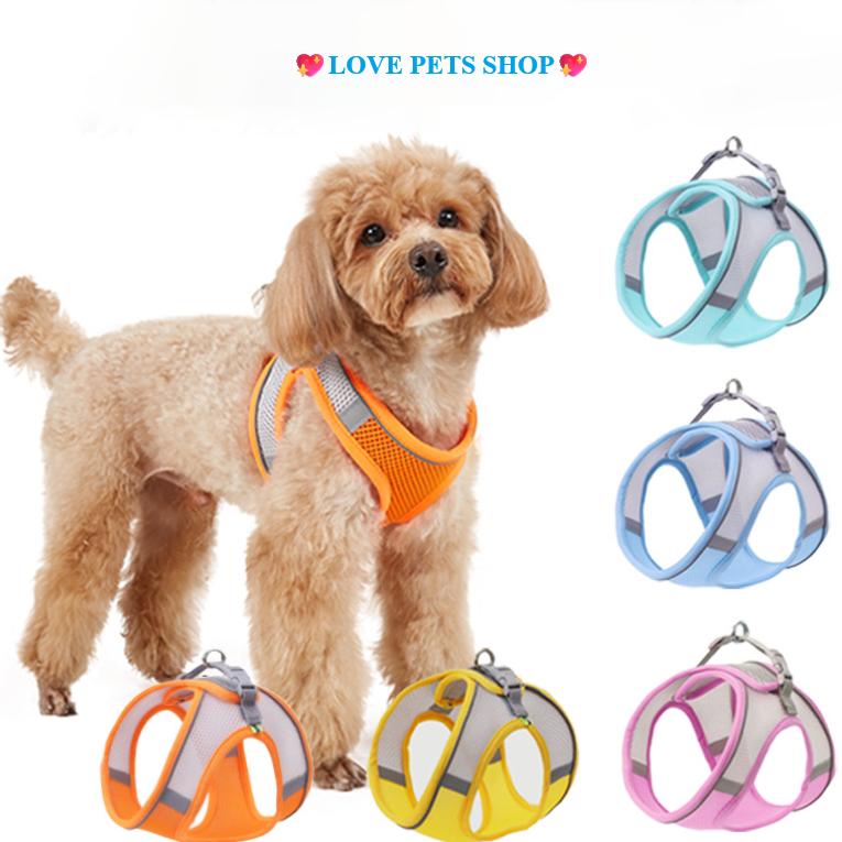 Đai yếm lưới phản quang cho Chó Mèo kèm dây dắt - Love Pets Shop