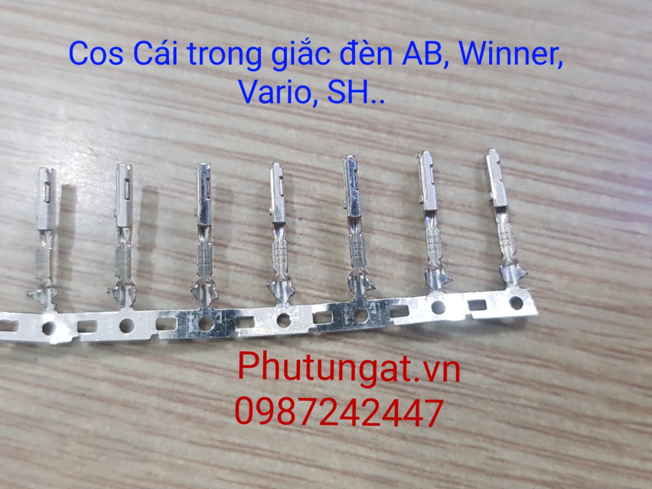 Cos Cái trong giắc đèn chính Vario Winner AB SH...