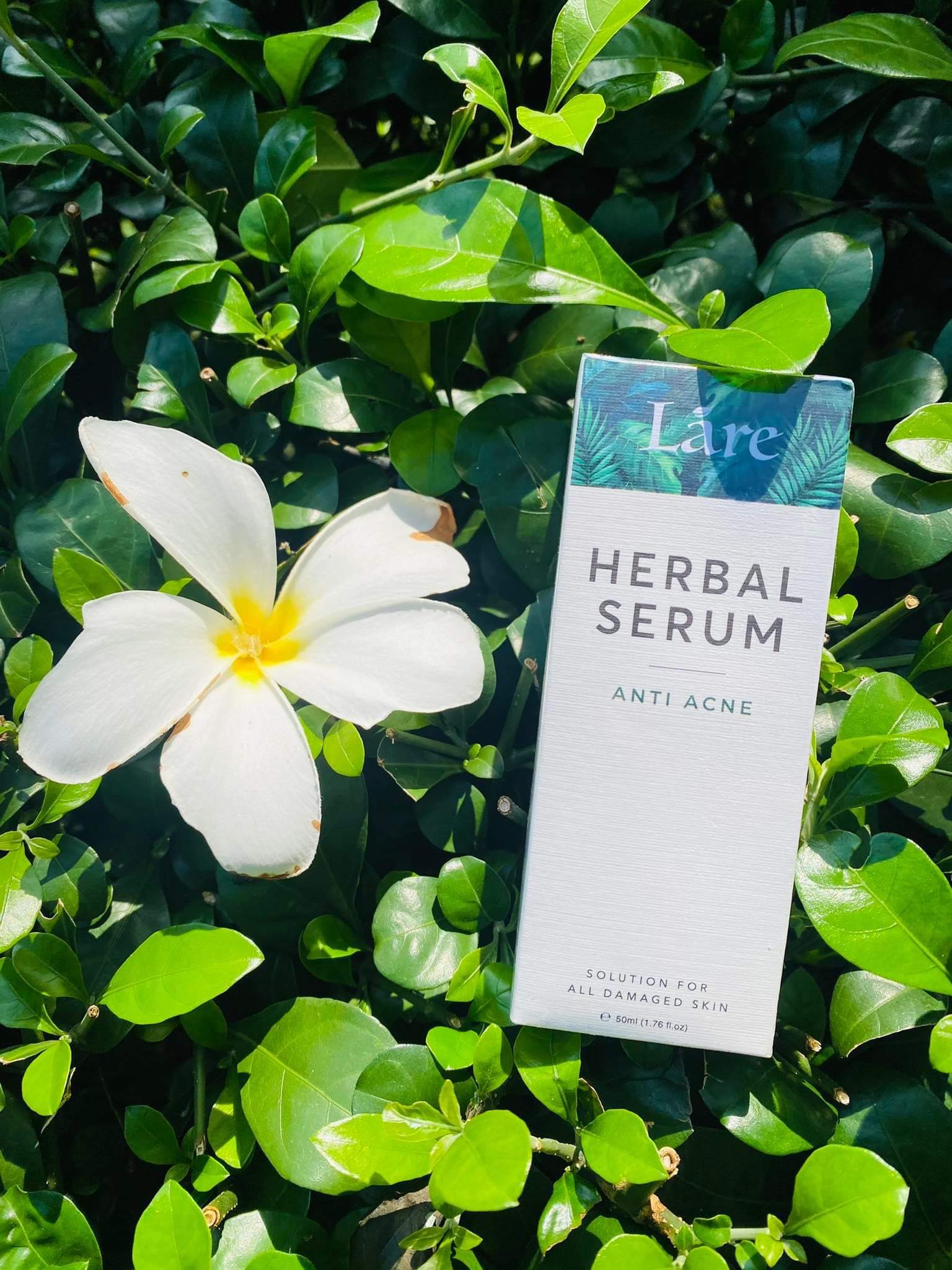 Herbal serum láre thanh dược 80ml - dành cho da mụn - da rỗ - da thâm - lỗ chân lông to - da không đều màu - da nhiêm corticoid.