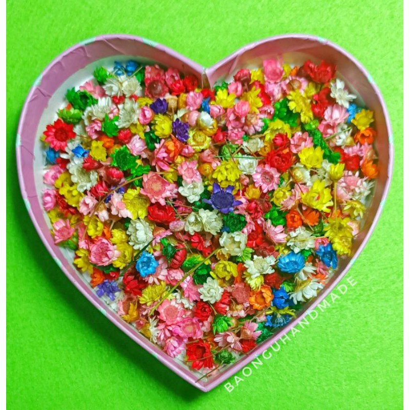 Hoa khô snowy trang trí resin, làm thiệp handmade đủ màu