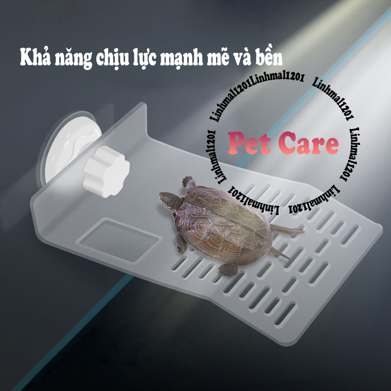 Máng leo cho rùa trắng đục